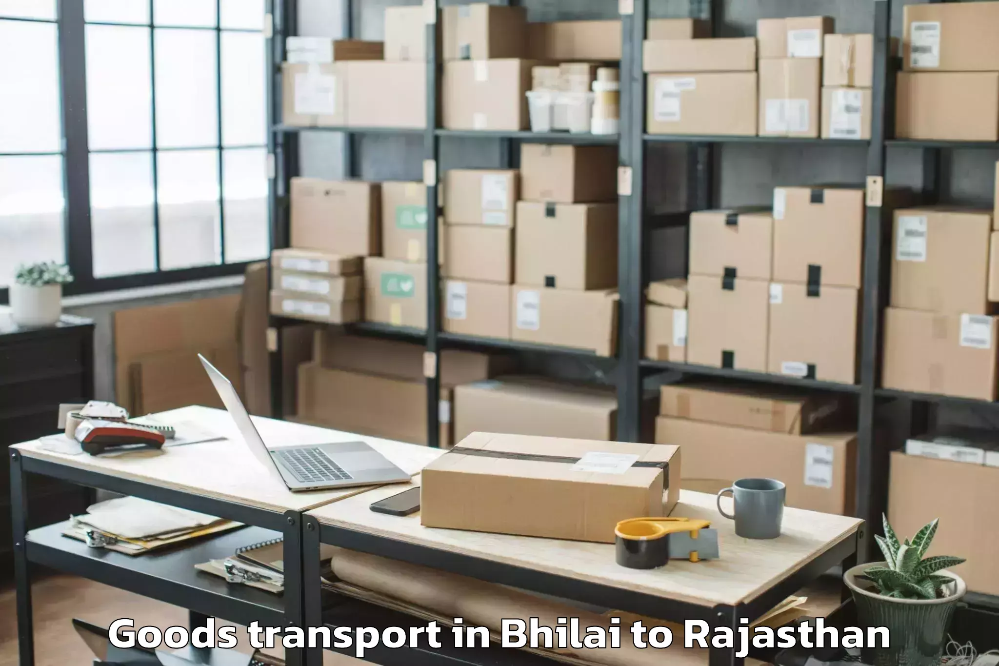 Hassle-Free Bhilai to Bikaner Airport Bkb Goods Transport